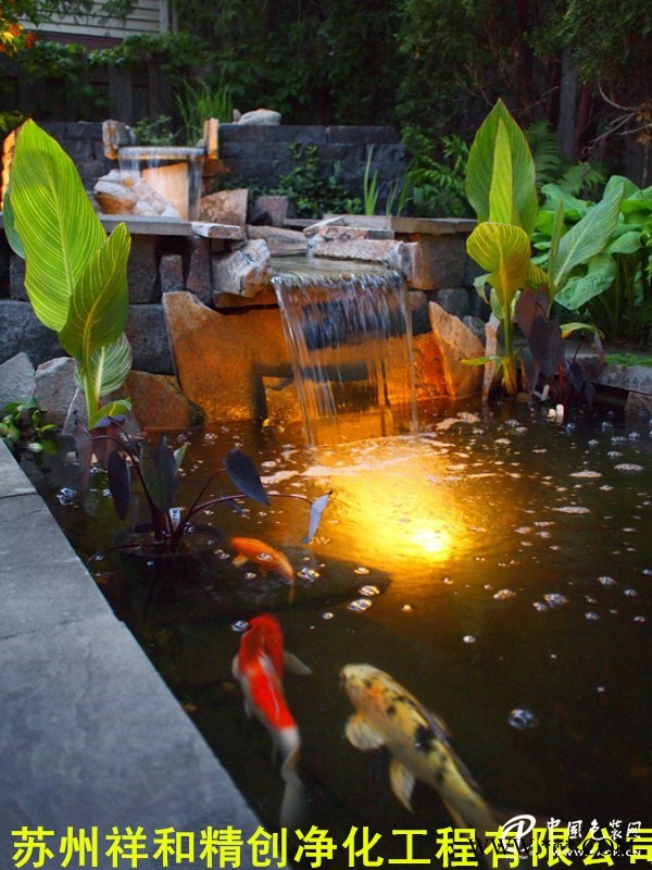 蘇州信譽好的魚池水處理公司，當(dāng)屬祥和精創(chuàng)凈化工程|磐安魚池水處理