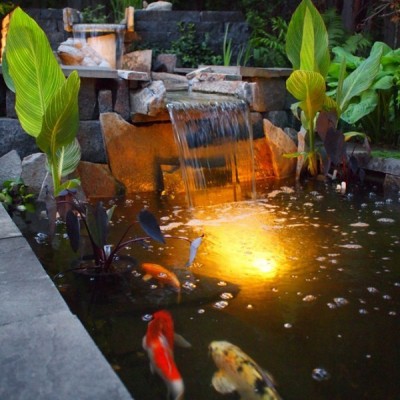蘇州信譽好的魚池水處理公司，當(dāng)屬祥和精創(chuàng)凈化工程|磐安魚池水處理