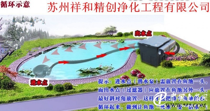 魚池水處理過濾凈化_有信譽的魚池水處理過濾凈化