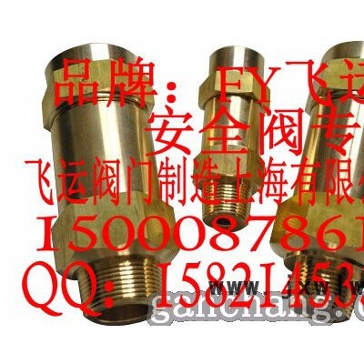 FY飛運供應空調制冷安全閥冷凝器蒸發(fā)器冷凍機安全閥SFA-22C300T安全閥