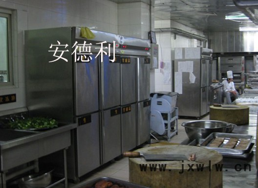 供應(yīng)安德利玻璃廚房保鮮柜 廚房冷藏冷凍展柜 壓縮機(jī)功率