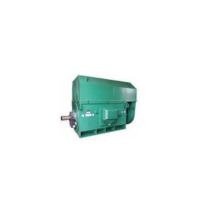 壓縮機專用電機YKS系列YKS5003-2 1400KW 6KV三相異步電動機