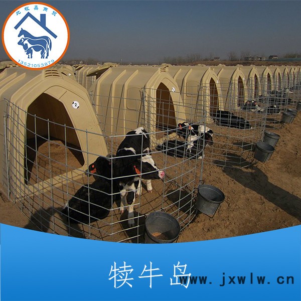 廠價(jià)供應(yīng)牛屋 牛棚 犢牛屋 犢牛棚 滾塑加工犢牛島