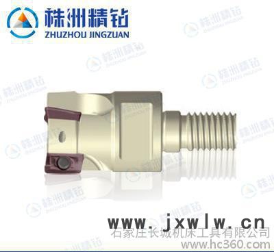 多功能銑削刀具可換式刀頭 可轉(zhuǎn)位立銑刀具QCH-25-AZGT11-M12-03
