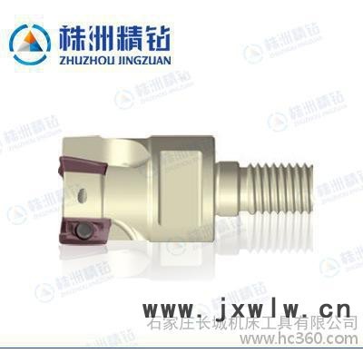 多功能銑削刀具可換式刀頭 可轉(zhuǎn)位立銑刀具QCH-25-AZGT11-M12-03
