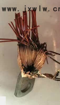 工巧智能科技 GQH-01電機(jī)端子壓接漆包線免去漆皮 焊接機(jī) 漆包線焊接設(shè)備 ** 質(zhì)保價(jià)廉
