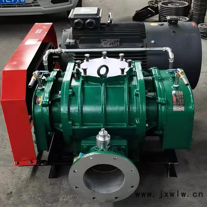 羅茨風(fēng)機 羅茨風(fēng)機廠家 高壓鼓風(fēng)機 羅茨鼓風(fēng)機
