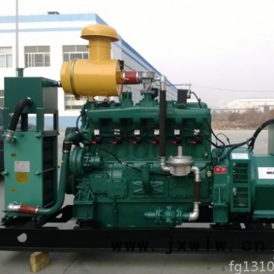 濰坊250kw千瓦靜音箱燃?xì)獍l(fā)電機(jī)組 小型沼氣發(fā)動(dòng)機(jī) 沼氣發(fā)電機(jī)設(shè)備