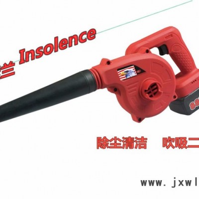 英索蘭吹風(fēng)機(jī) Insolence經(jīng)濟(jì)型家庭裝吹風(fēng)機(jī) 21V吹風(fēng)機(jī)