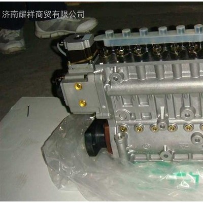廠家直重汽金王子發(fā)動(dòng)機(jī) 各種型號(hào)重汽發(fā)動(dòng)機(jī)