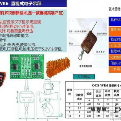 高精度吊秤，OCS-WK6，吊秤保養(yǎng)以及維修，龍正衡器