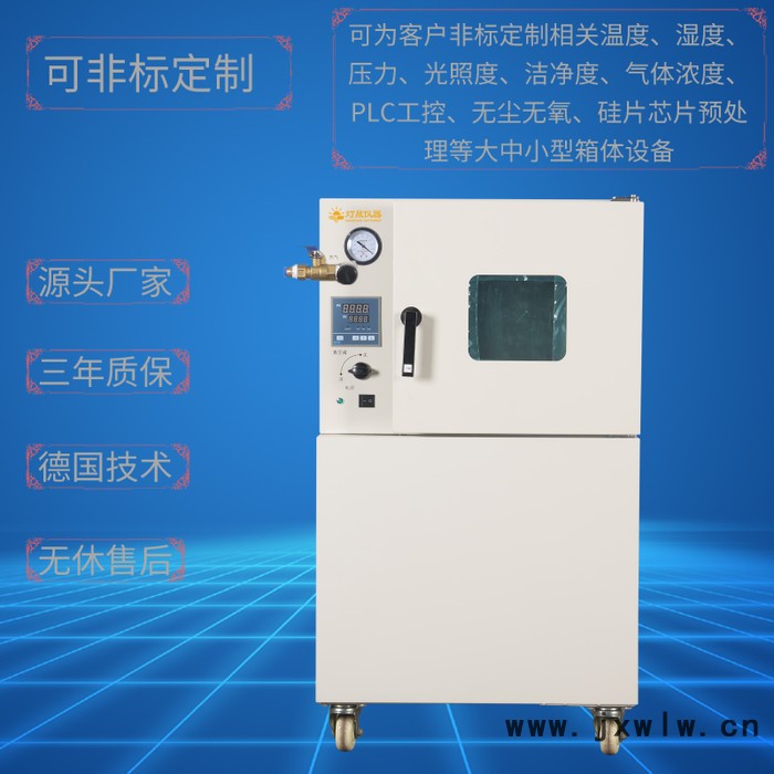 燈晟儀器DZF-6250N 充氮真空干燥箱（自動控制充氮） 非標定制全自動真空干燥箱 真空充氮烘箱 真空干燥設備上海廠家