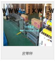 臺柯衡器  一體化直聯(lián)式減速流水線皮帶秤/自動化皮帶稱/scs皮帶機電子秤