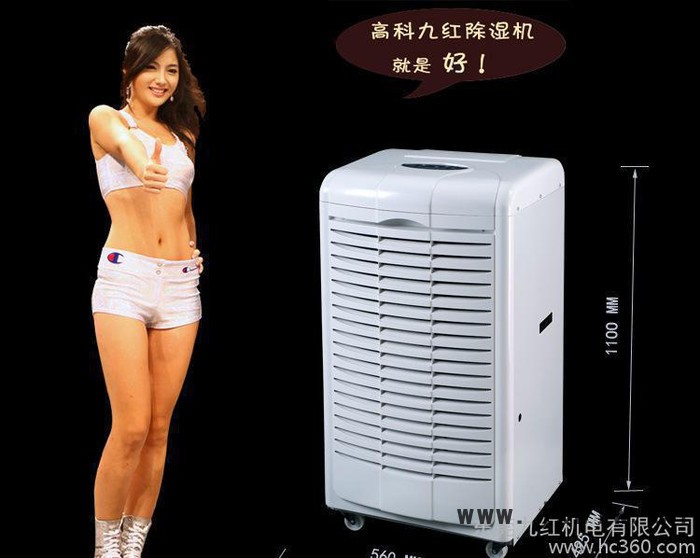 模具干燥設(shè)備銅雕抽濕干燥機廣東工業(yè)除濕機工業(yè)除濕機138升