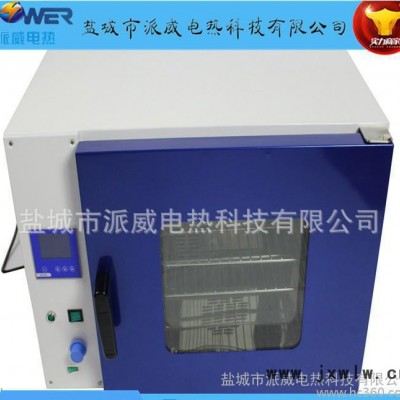 智能數(shù)顯電熱鼓風(fēng)干燥箱小型連續(xù)式食品烘干烤箱干燥設(shè)備