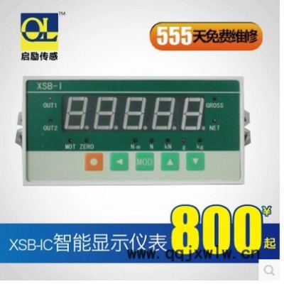 供應(yīng)XSB-IC 高速智能顯示儀表 高精度 快響應(yīng)速度 稱重測(cè)量實(shí)驗(yàn)儀表 遼寧 上海 廣州 北京 江蘇 浙江 安徽 山西