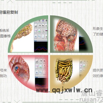 RJ人體磁感應分析儀 全身掃描體檢設備