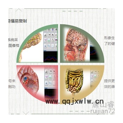 RJ人體磁感應分析儀 全身掃描體檢設備