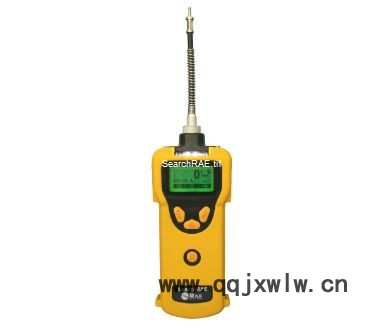 RAE/華瑞PGM-1600 可燃氣/有毒氣體檢測儀氣體分析儀