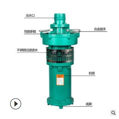 人民QY潛水電泵 三相充油式園林排灌大流量油浸泵高揚(yáng)程農(nóng)用泵