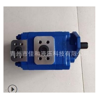 P124系列雙聯(lián)齒輪油泵 P124B182XDZA05-54PBZA02-1 泊姆克雙聯(lián)泵