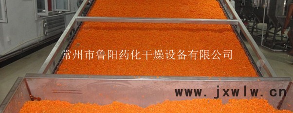 蔬菜帶式干燥機(jī)_副本_副本